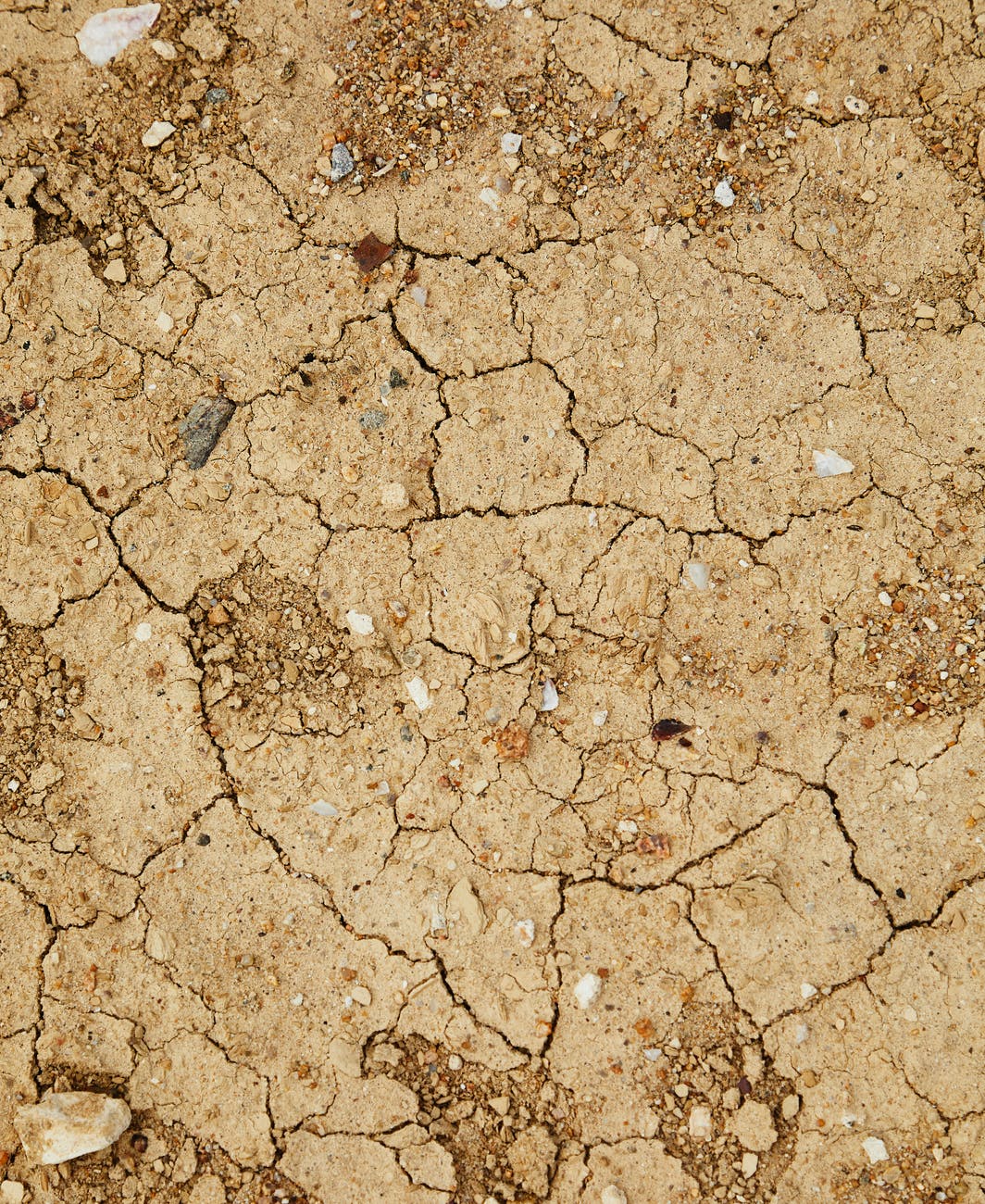 dry and cracked soil